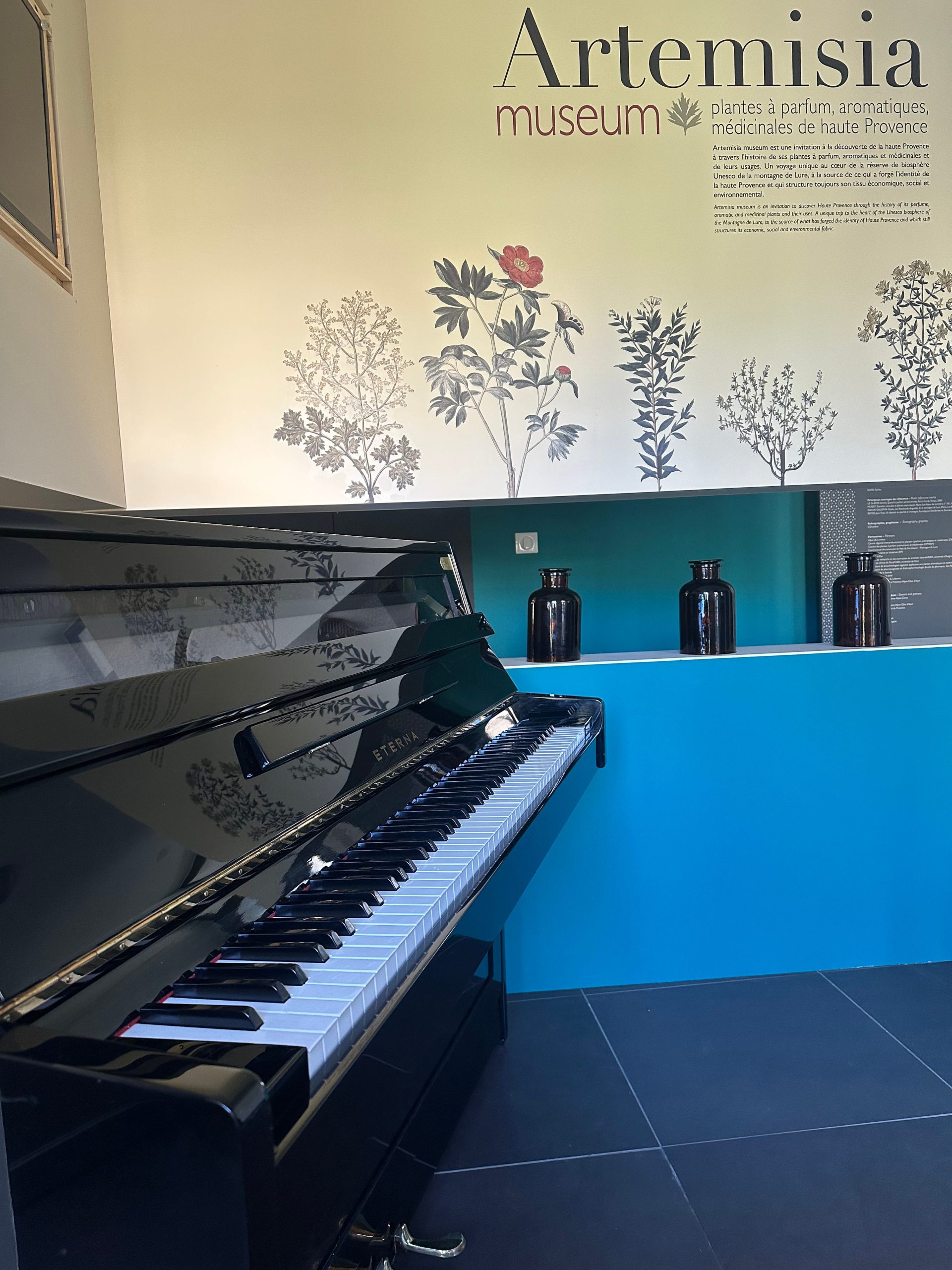 Eterna APlight - Artemisia